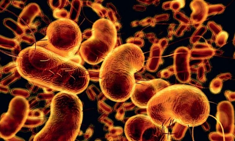 Enfeksiyöz prostatite neden olan bakteriler