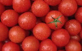 domates için kudret